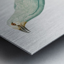 Green roller Metal print