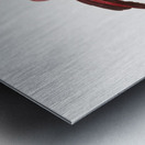 King bird of paradise male  Metal print