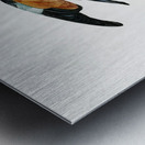 Magnificent bird of paradise female  Metal print