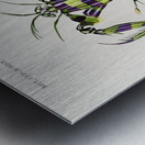 Giant mantis shrimp Squilla Maculata Metal print