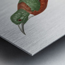 Great Jacamar Metal print