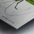 Blue Jay  Metal print