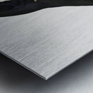 Old red belt aracari  Metal print