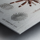 Different types of sea urcnhins Metal print