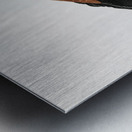 Great violet roller  Metal print