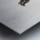 Old braeded tachuri  Metal print