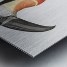 Green-billed toucan  Metal print