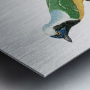 Different types of mollusks Metal print