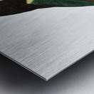 Black-necked Aracari  Metal print