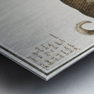 Dog in vintage style Metal print