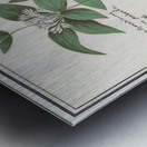 Silk plant in vintage style Metal print