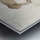 Reindeer in vintage style Metal print