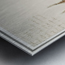 Lynx in vintage style Metal print