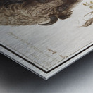 Wisent in vintage style Metal print