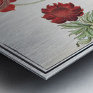 Peony and anemone in vintage style Metal print