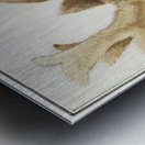 Deer head in vintage style Metal print