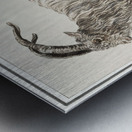 Goat in vintage style Metal print