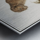 Lynx in vintage style Metal print