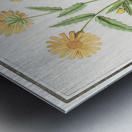 Chrysanths in vintage style Metal print