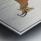 Chamois in vintage style Metal print