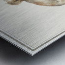 Two dogs in vintage style Metal print