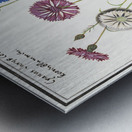 Cornflower in vintage style Metal print