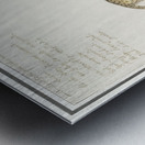 Leopard in vintage style Metal print