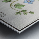 Bell flower in vintage style Metal print