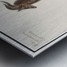 Ibex in vintage style Metal print