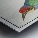 Ibex in vintage style Metal print