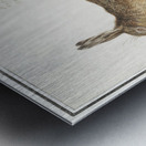 Hare in vintage style Metal print