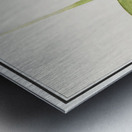 Green foliage in vintage style Metal print