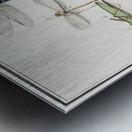 Dragonflies in vintage style Metal print