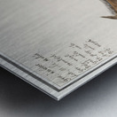 Mule in vintage style Metal print