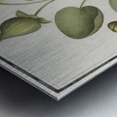 Yellow floppy flower Metal print