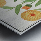 Barn owl in vintage style Metal print