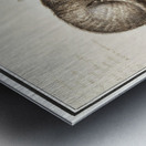 Cat in vintage style Metal print