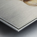 Horse in vintage style Metal print