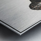 Dog in vintage style Metal print