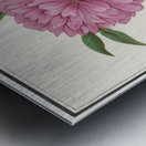 Peony in vintage style Metal print