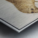 Seal in vintage style Metal print