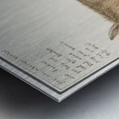 Donkey in vintage style Metal print