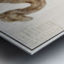 Camel in vintage style Metal print