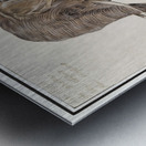 Elephant in vintage style Metal print