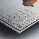 Robin in vintage style Metal print