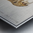 Walrus in vintage style Metal print