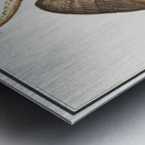 Heron in vintage style Metal print