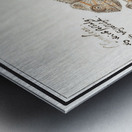 Chameleon in vintage style Metal print