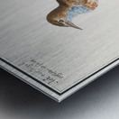 Bluethroat in vintage style Metal print