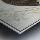 Hedgehog in vintage style Metal print